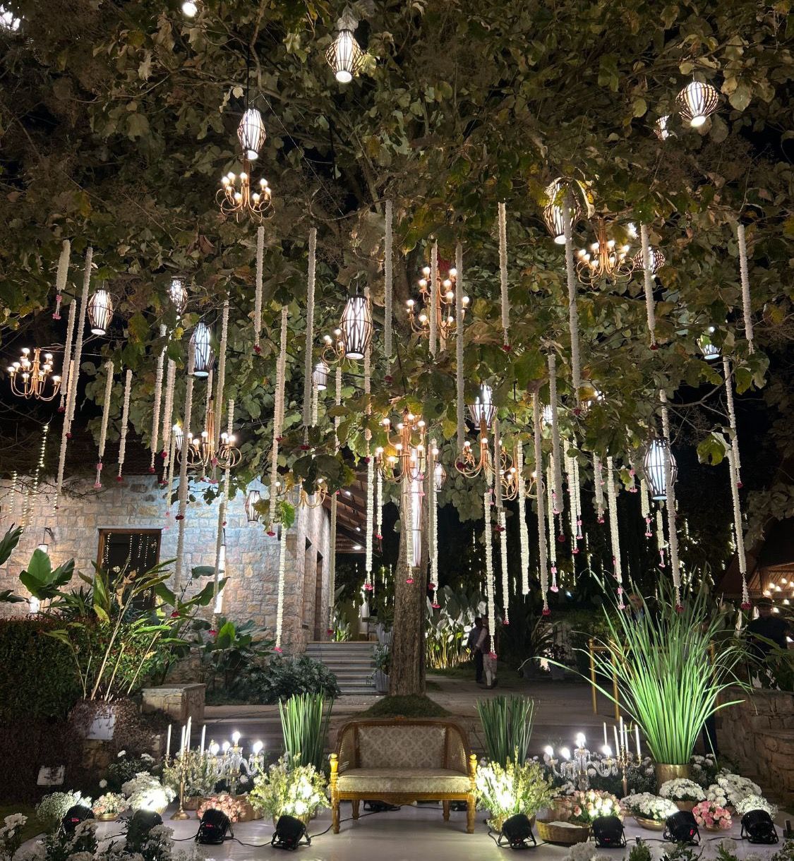 A tree hung with lights beside a stone cottage at night